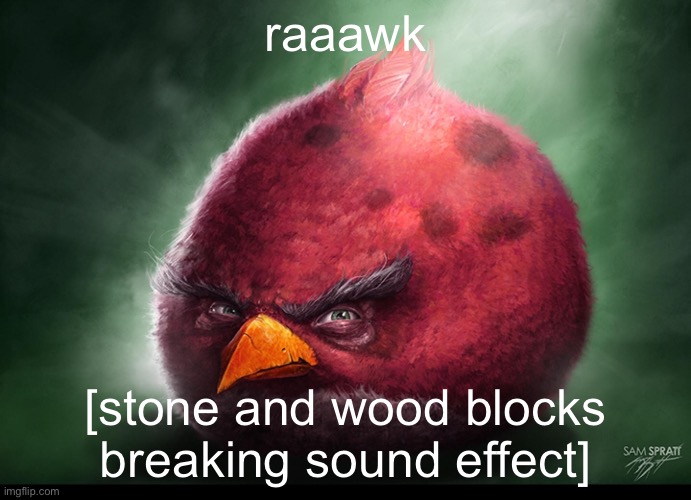 Overly literal | raaawk; [stone and wood blocks breaking sound effect] | image tagged in realistic terrance | made w/ Imgflip meme maker
