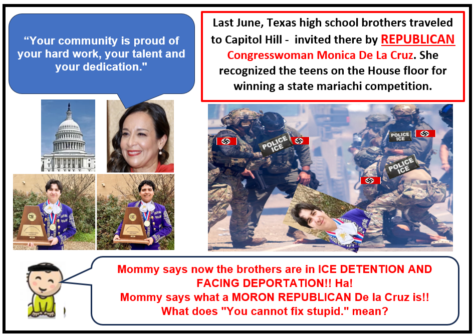 Latina Republican Congresswoman Who Hates Latinos Blank Meme Template