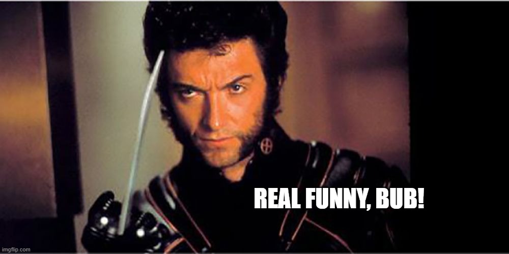 REAL FUNNY, BUB! | made w/ Imgflip meme maker