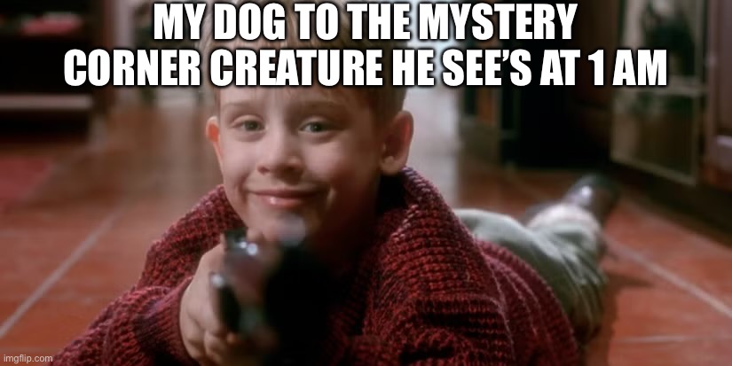Kevin w gun | MY DOG TO THE MYSTERY CORNER CREATURE HE SEE’S AT 1 AM | image tagged in kevin w gun | made w/ Imgflip meme maker