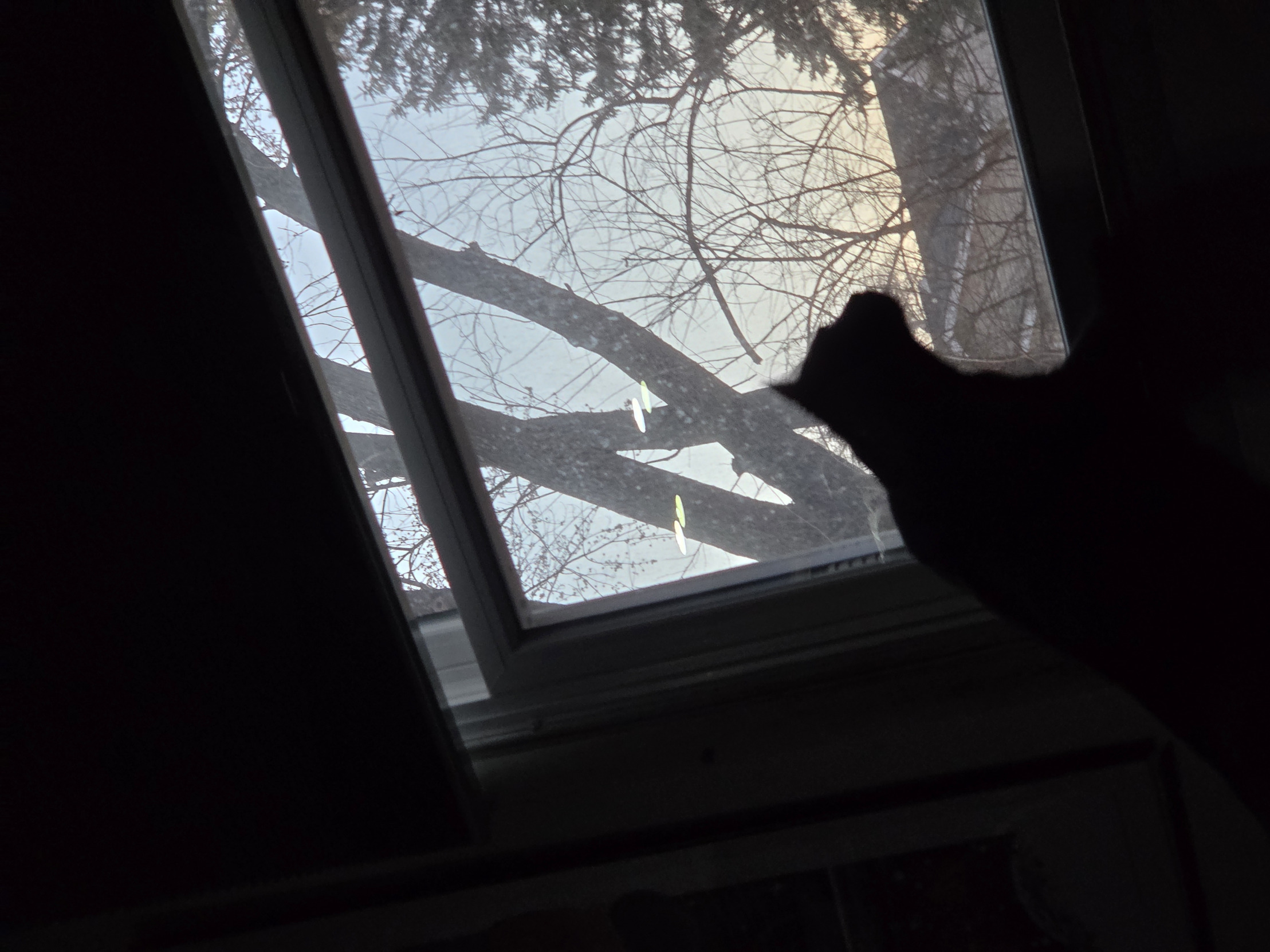 Daylight Savings Blank Meme Template