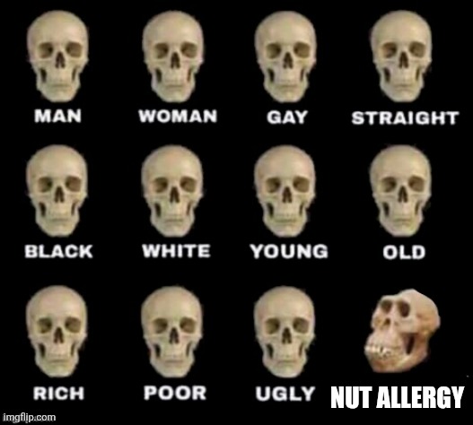 idiot skull | NUT ALLERGY | image tagged in idiot skull | made w/ Imgflip meme maker