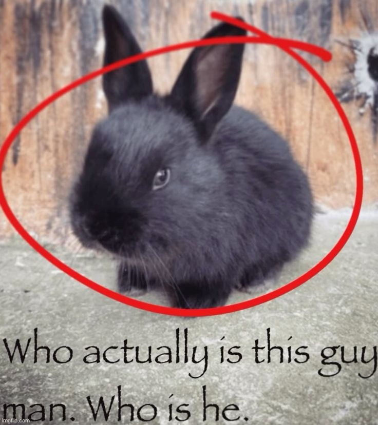 zeronium | made w/ Imgflip meme maker