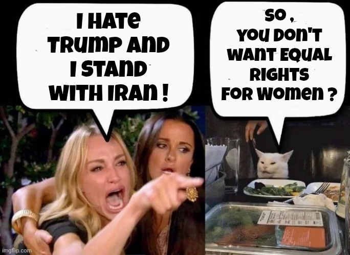 Just make it make sense | I hate Trump and I stand with Iran ! So , you don't want Equal rights for Women ? | image tagged in don't eat the cat,sharia law,you won't like it,the bad guys,learn which is which | made w/ Imgflip meme maker