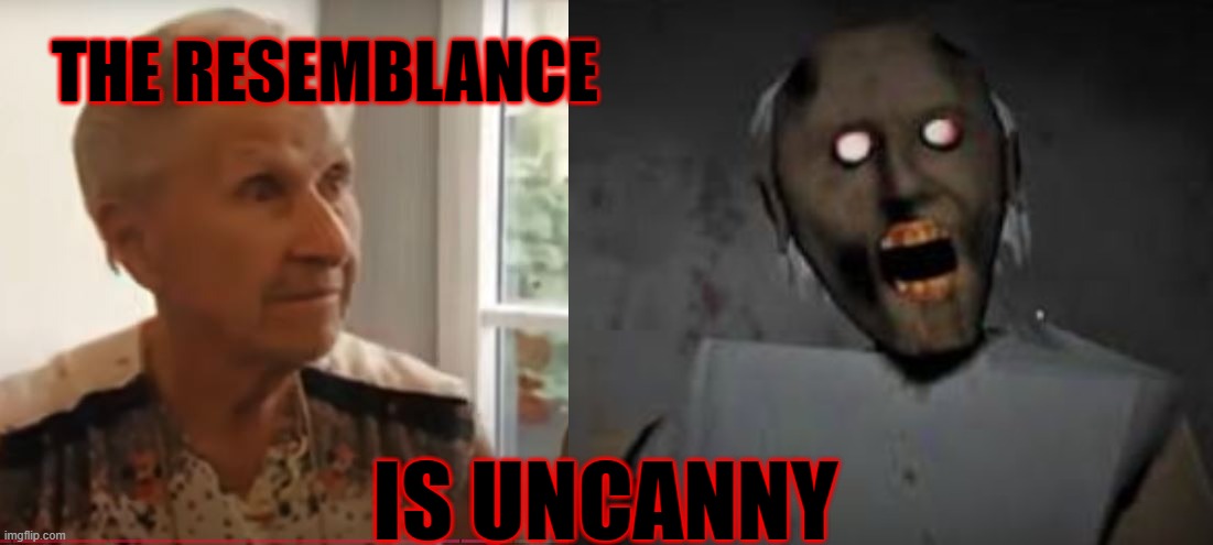Granny Look a Like | THE RESEMBLANCE; IS UNCANNY | image tagged in granny | made w/ Imgflip meme maker