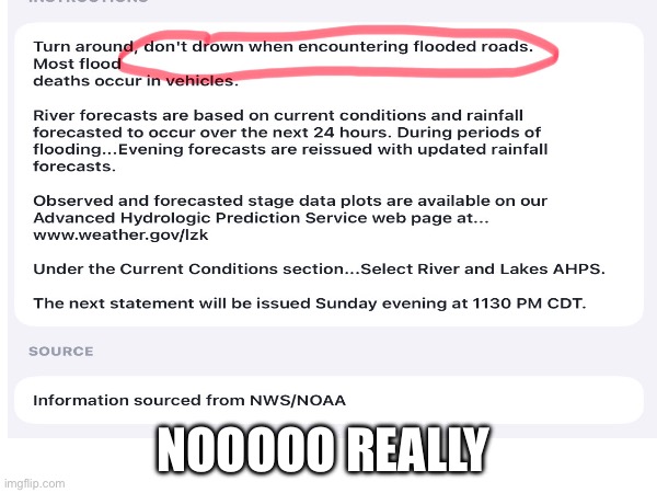 NOOOOO REALLY | made w/ Imgflip meme maker