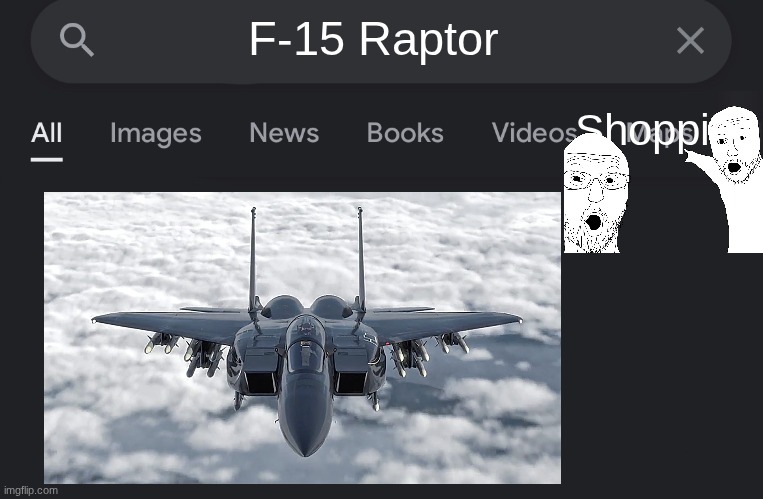 Fake search | F-15 Raptor; Shopping | image tagged in fake search | made w/ Imgflip meme maker