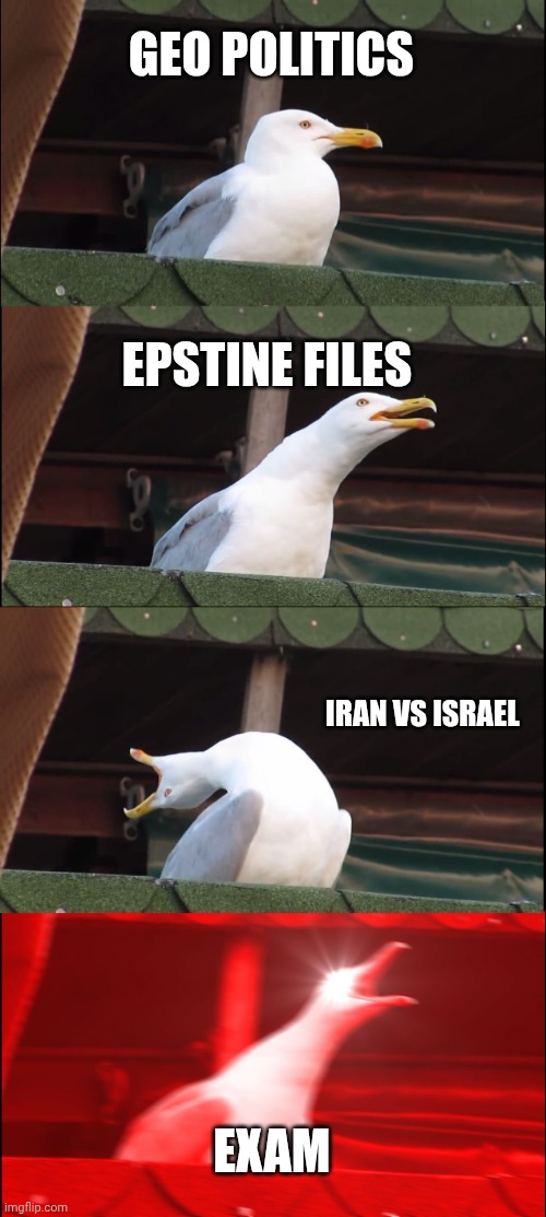 EXAM!!! | GEO POLITICS; EPSTINE FILES; IRAN VS ISRAEL; EXAM | image tagged in memes,inhaling seagull | made w/ Imgflip meme maker