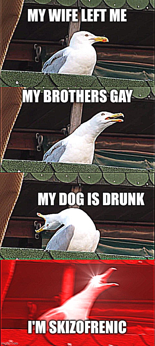 yay | MY WIFE LEFT ME; MY BROTHERS GAY; MY DOG IS DRUNK; I'M SKIZOFRENIC | image tagged in memes,inhaling seagull | made w/ Imgflip meme maker
