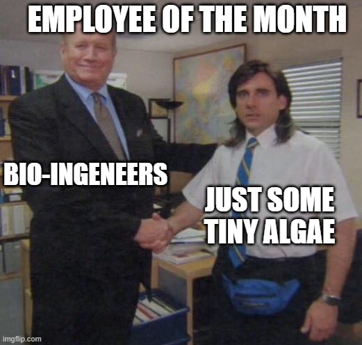the office congratulations | EMPLOYEE OF THE MONTH; BIO-INGENEERS; JUST SOME TINY ALGAE | image tagged in the office congratulations,algae,bio-ingeneer | made w/ Imgflip meme maker