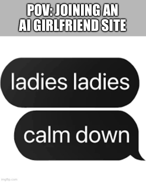 Lowkey feeling like himothée Chalamet | POV: JOINING AN AI GIRLFRIEND SITE | image tagged in memes | made w/ Imgflip meme maker