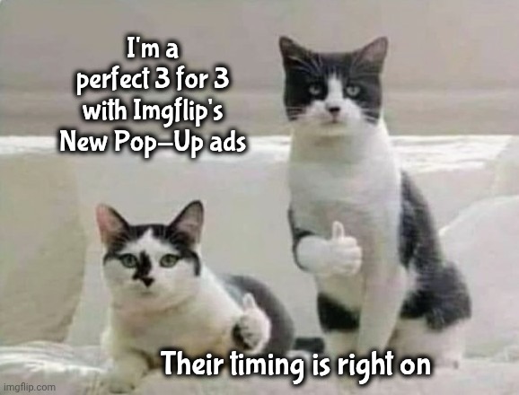 Got me every time | I'm a perfect 3 for 3 with Imgflip's New Pop-Up ads; Their timing is right on | image tagged in thumbs up cats,i don't need a new phone,no breaks for you,alright gentlemen we need a new idea | made w/ Imgflip meme maker