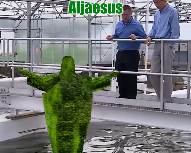 Aljaesus | Aljaesus | image tagged in aljaesus | made w/ Imgflip meme maker