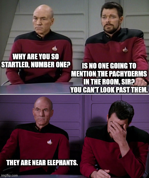 0_0 Hidden in plain sight. | WHY ARE YOU SO STARTLED, NUMBER ONE? IS NO ONE GOING TO MENTION THE PACHYDERMS IN THE ROOM, SIR?
YOU CAN'T LOOK PAST THEM. THEY ARE NEAR ELEPHANTS. | image tagged in picard riker listening to a pun,star trek,dad joke | made w/ Imgflip meme maker
