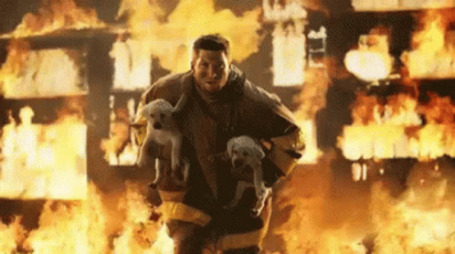 Firefighter carrying puppies Blank Meme Template