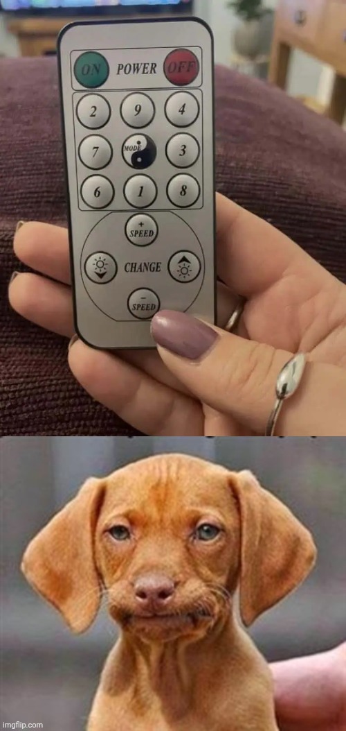 Remote control | image tagged in frustrated dog,remote control,remote,design fails,memes,you had one job | made w/ Imgflip meme maker