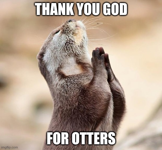 animal praying | THANK YOU GOD; FOR OTTERS | image tagged in animal praying | made w/ Imgflip meme maker