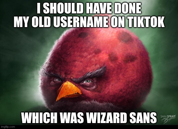 ultimate ragebait name | I SHOULD HAVE DONE MY OLD USERNAME ON TIKTOK; WHICH WAS WIZARD SANS | image tagged in realistic terrance | made w/ Imgflip meme maker