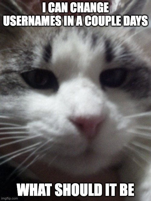 Sour Hart announcement template | I CAN CHANGE USERNAMES IN A COUPLE DAYS; WHAT SHOULD IT BE | image tagged in sour hart announcement template | made w/ Imgflip meme maker