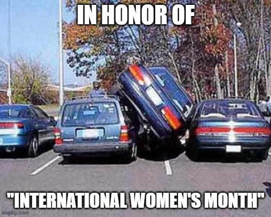 Parallel Parking | IN HONOR OF; "INTERNATIONAL WOMEN'S MONTH" | image tagged in parallel parking | made w/ Imgflip meme maker