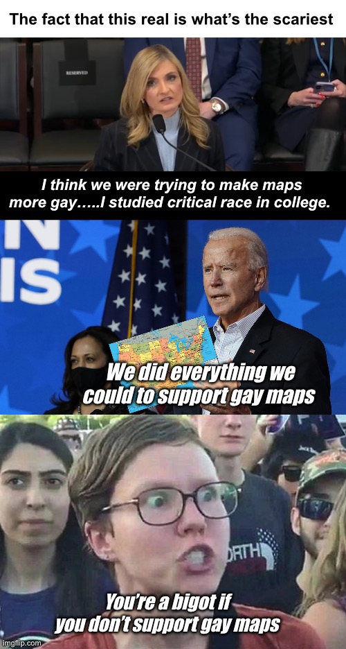 We have a national mental health crisis | The fact that this real is what’s the scariest; I think we were trying to make maps more gay…..I studied critical race in college. We did everything we could to support gay maps; You’re a bigot if you don’t support gay maps | image tagged in joe biden and kamala harris,triggered liberal,politics lol,memes,progressives | made w/ Imgflip meme maker
