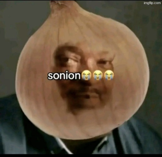 sonion | image tagged in sonion | made w/ Imgflip meme maker