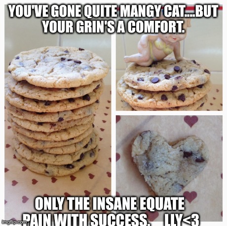 YOU'VE GONE QUITE MANGY CAT....BUT YOUR GRIN'S A COMFORT.  ONLY THE INSANE EQUATE PAIN WITH SUCCESS.     LLY<3 | made w/ Imgflip meme maker