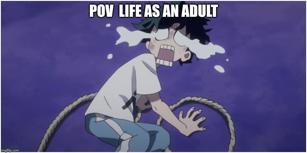 Life as an adult | image tagged in life as an adult | made w/ Imgflip meme maker