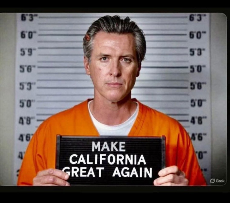 Greasy Gavin mugshot Blank Meme Template