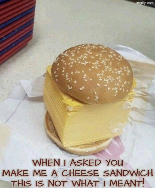Not What I Meant | WHEN I ASKED YOU MAKE ME A CHEESE SANDWICH THIS IS NOT WHAT I MEANT! | image tagged in cheese,cursed images,you had one job,not what i meant,do you are have stupid,duhhh dumbass | made w/ Imgflip meme maker