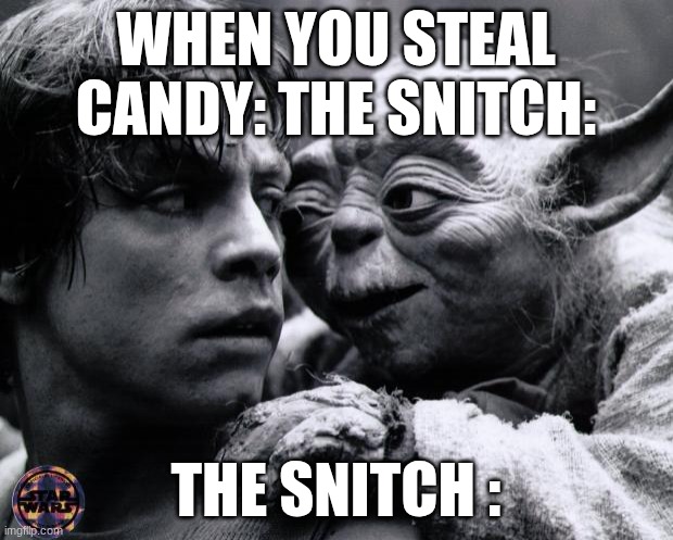 Yoda & Luke | WHEN YOU STEAL CANDY: THE SNITCH:; THE SNITCH : | image tagged in yoda luke | made w/ Imgflip meme maker