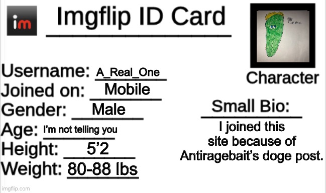 ID Card | A_Real_One; Mobile; Male; I joined this site because of Antiragebait’s doge post. I’m not telling you; 5’2; 80-88 lbs | image tagged in imgflip id card,dillpickles12,a_real_one | made w/ Imgflip meme maker