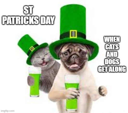 St Patricks Day: A day when cats and dogs get along. | ST PATRICKS DAY; WHEN CATS AND DOGS GET ALONG | image tagged in cat,kittens,funny,humor,st patricks day,dogs | made w/ Imgflip meme maker