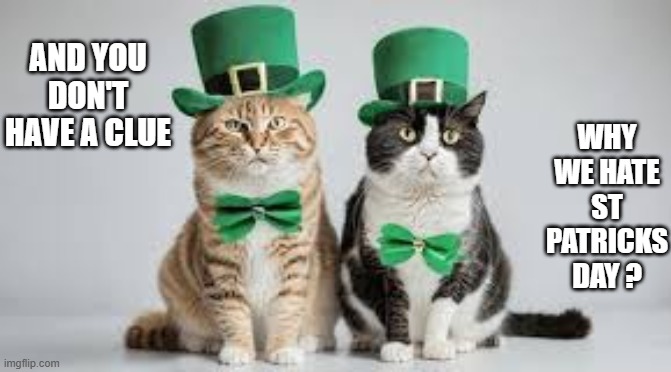 Why cats don't like St Patricks Day.   --  funny  -- | WHY WE HATE ST PATRICKS DAY ? AND YOU DON'T HAVE A CLUE | image tagged in cat,kittens,funny,humor,st patricks day,costumes | made w/ Imgflip meme maker