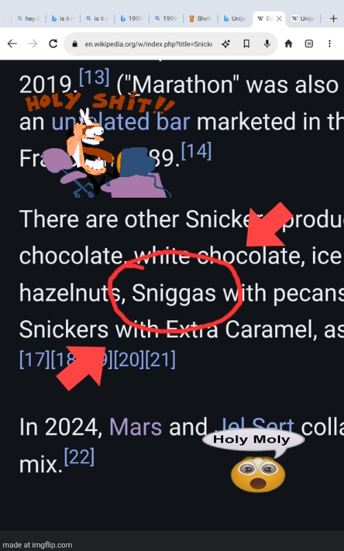 I FOUND VANDALISM ON WIKIPEDIA!!!!!!!!! | image tagged in wikipedia,vandalism | made w/ Imgflip meme maker