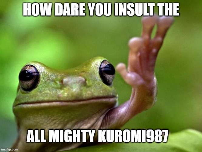 HOW DARE YOU INSULT THE ALL MIGHTY KUROMI987 | image tagged in angry tree frog | made w/ Imgflip meme maker