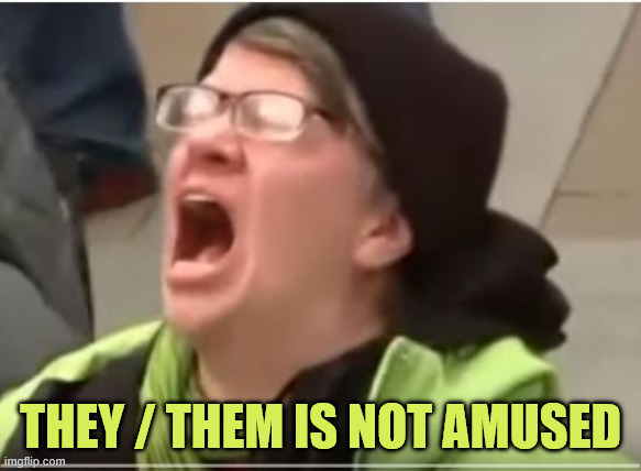 THEY / THEM IS NOT AMUSED | image tagged in screaming liberal | made w/ Imgflip meme maker