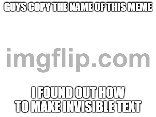 GUYS COPY THE NAME OF THIS MEME; I FOUND OUT HOW TO MAKE INVISIBLE TEXT | made w/ Imgflip meme maker