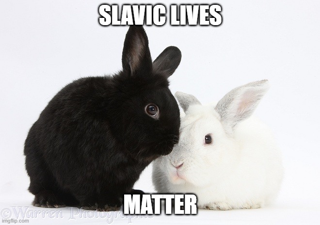 Black and White | SLAVIC LIVES; MATTER | image tagged in black and white,slavic lives matter,black lives matter | made w/ Imgflip meme maker