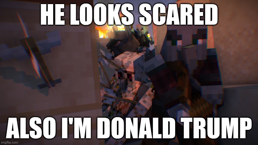 Pillager Raid | HE LOOKS SCARED; ALSO I'M DONALD TRUMP | image tagged in pillager raid | made w/ Imgflip meme maker