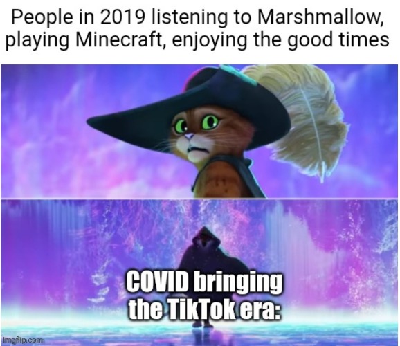 The pandemic ruined everything :sobbity sob sob: | image tagged in covid,marshmallow,minecraft,2019,tiktok,pandemic | made w/ Imgflip meme maker