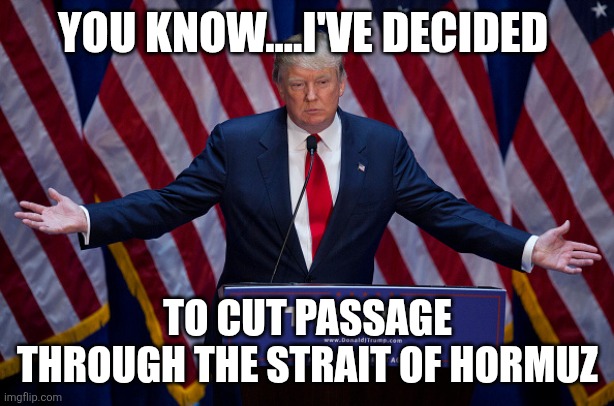 Trump deranged syndrome | YOU KNOW....I'VE DECIDED; TO CUT PASSAGE THROUGH THE STRAIT OF HORMUZ | image tagged in donald trump | made w/ Imgflip meme maker