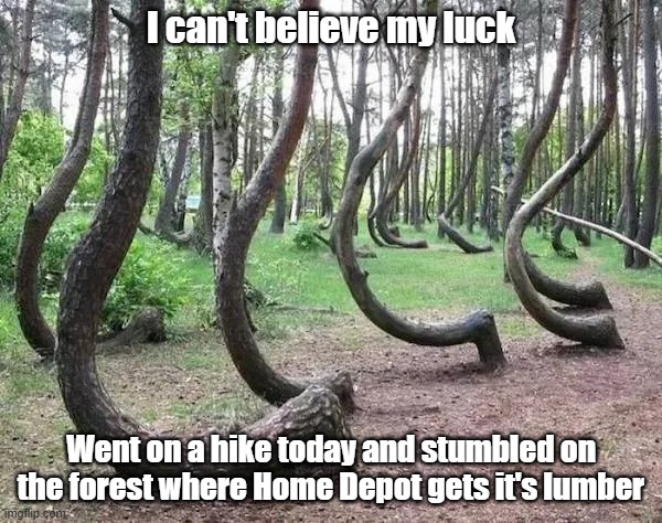 Nice Wood | I can't believe my luck; Went on a hike today and stumbled on the forest where Home Depot gets it's lumber | image tagged in home depot,wood,aint straight,lumber | made w/ Imgflip meme maker