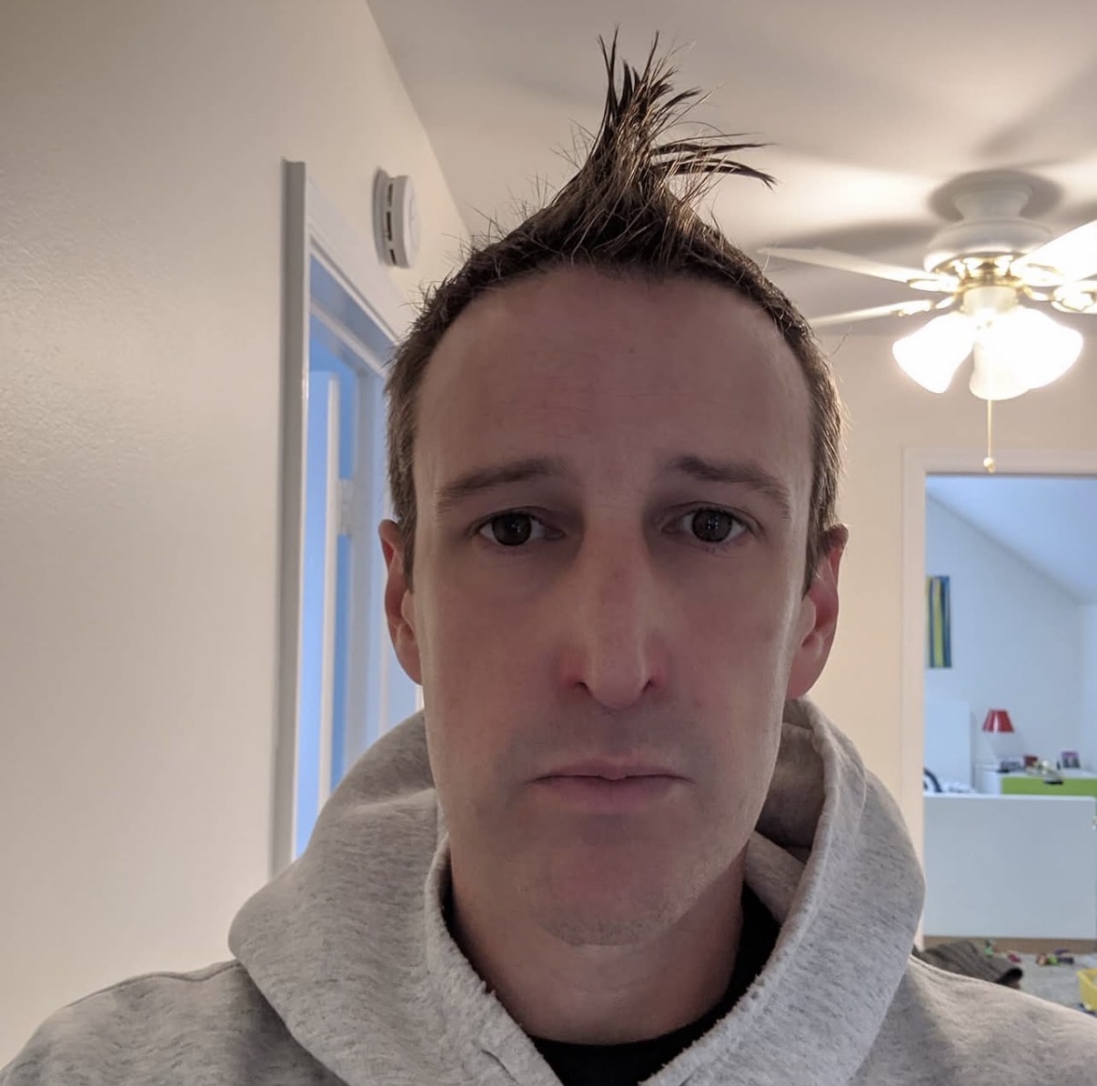 Companion Blank Meme Template