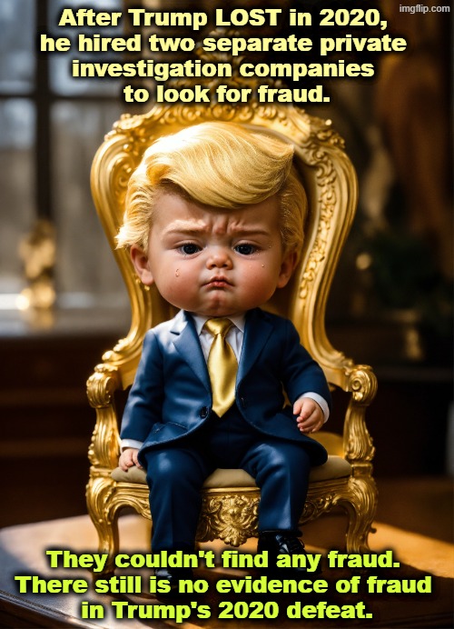 Trump baby child infant toddler immature snowflake thin-skinned | After Trump LOST in 2020, 
he hired two separate private 
investigation companies 
to look for fraud. They couldn't find any fraud. 
There still is no evidence of fraud 

in Trump's 2020 defeat. | image tagged in trump baby child infant toddler immature snowflake thin-skinned,trump,lies,election fraud,voter fraud,election 2020 | made w/ Imgflip meme maker