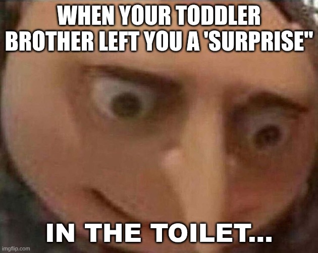 Oh. | WHEN YOUR TODDLER BROTHER LEFT YOU A 'SURPRISE"; IN THE TOILET... | image tagged in gru meme | made w/ Imgflip meme maker