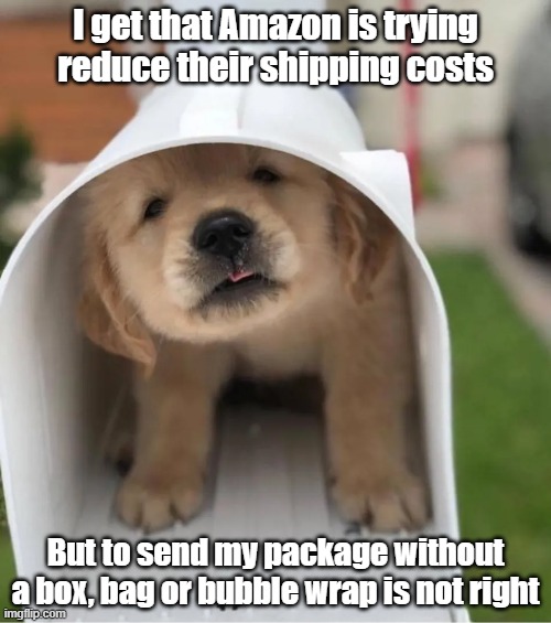 Puppy Package | I get that Amazon is trying reduce their shipping costs; But to send my package without a box, bag or bubble wrap is not right | image tagged in dog,puppy,mail,cute | made w/ Imgflip meme maker
