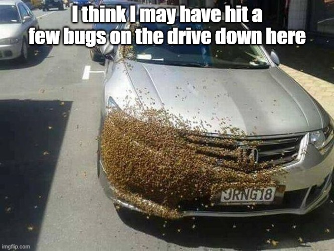 Clean Up Aisle 3 | I think I may have hit a few bugs on the drive down here | image tagged in car,bugs,splat,dirty | made w/ Imgflip meme maker