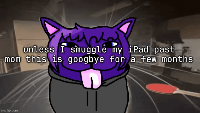 I fw most of yall | unless I smuggle my iPad past mom this is googbye for a few months | image tagged in tge silly | made w/ Imgflip meme maker