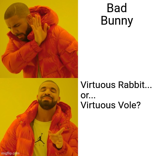 Bad Bunny and his alter ego | Bad Bunny; Virtuous Rabbit...
or...
Virtuous Vole? | image tagged in memes,drake hotline bling | made w/ Imgflip meme maker